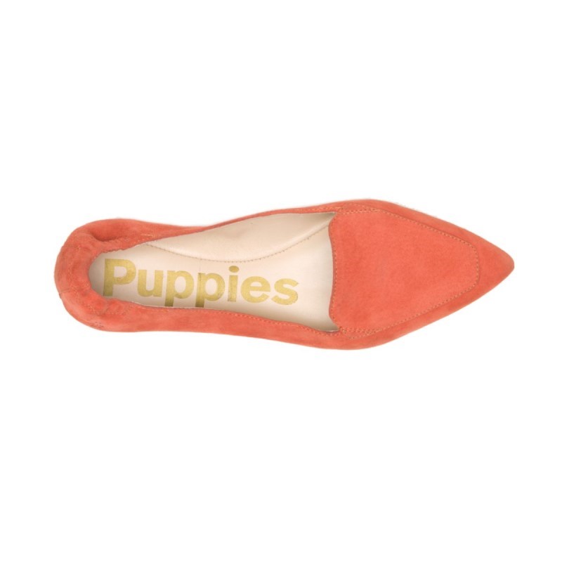 Women's Hazel Pointe Flat Hush Puppies Ginger Spice Suede