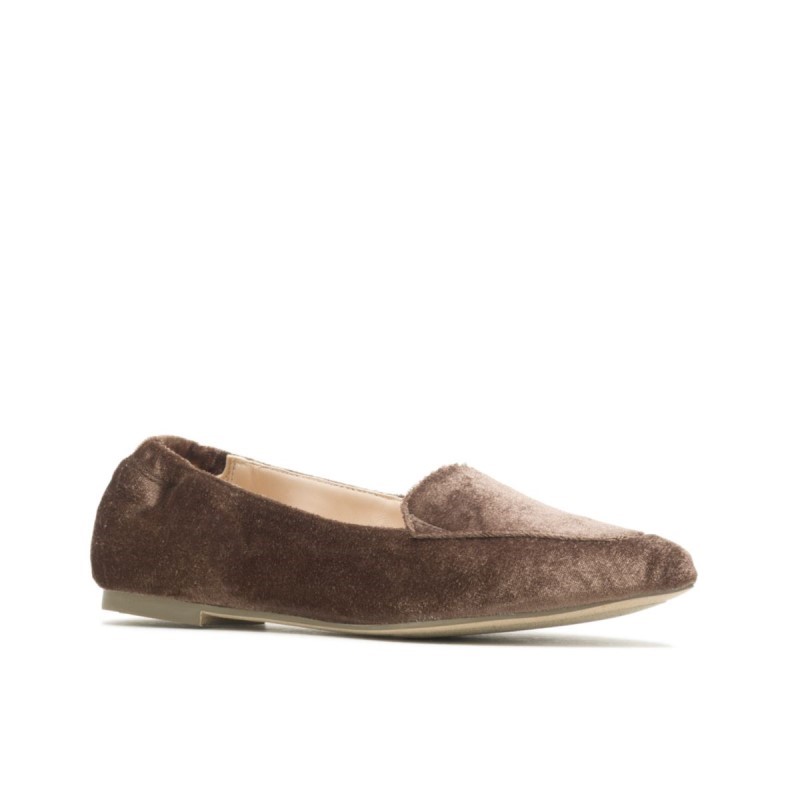 Women's Hazel Pointe Flat Hush Puppies Dark Brown Velvet